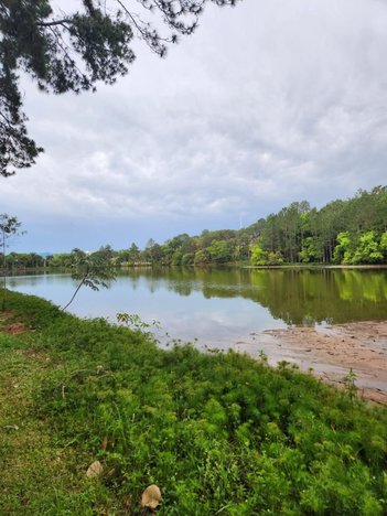 land_lot em Rodovia Oswaldo Cruz, Chácara São Félix - Taubaté - SP