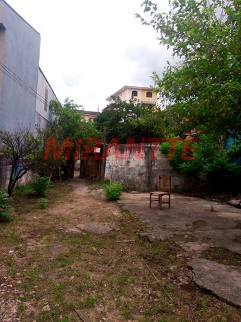 land_lot em Rua Luiz Antônio de Oliveira Alves, Vila Nova Mazzei - São Paulo - SP