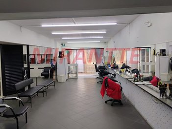 business em Tucuruvi, Tucuruvi - São Paulo - SP