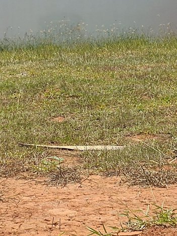 land_lot em Avenida Doutor José Caetano Graziosi, Wanel Ville - Sorocaba - SP