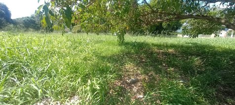 land_lot em Rodovia Vereador Oldemar de Figueiredo, Ubatiba - Maricá - RJ