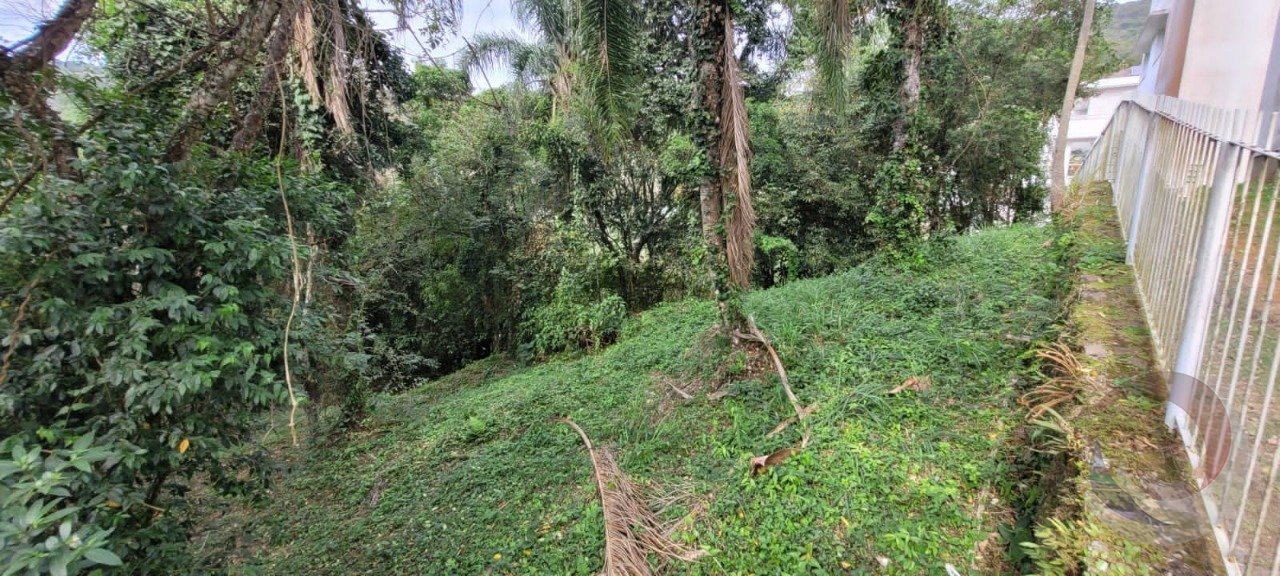 terreno02