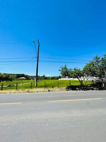 land_lot em Rodovia João Cirimbeli, Morro Estevão - Criciúma - SC