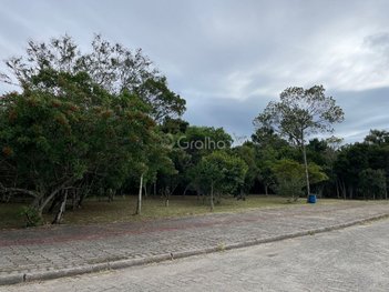 land_lot em Rua Embaúba do Ribeirão, Ribeirão da Ilha - Florianópolis - SC