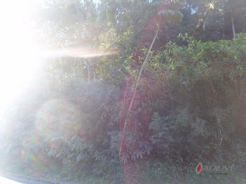 land_lot em Rua Coronel Duarte da Silveira, Bingen - Petrópolis - RJ