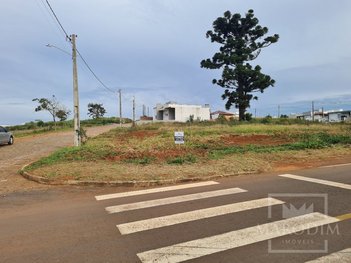 land_lot em Rua Alcebíades Tiecher, Marau - Marau - RS