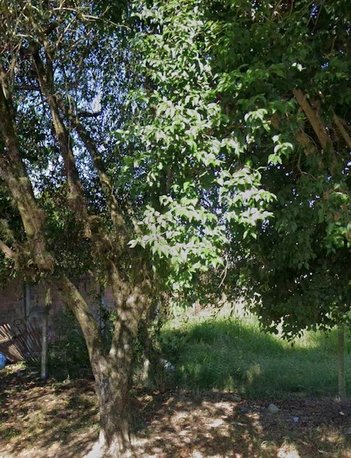 land_lot em Rua Gesse Ávila de Souza, Feitoria - São Leopoldo - RS