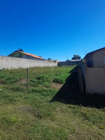 land_lot em Rua Manoel Corrêa, Borda do Campo - São José dos Pinhais - PR