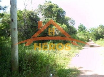 agricultural em Estrada da Taquara, São Caetano - Porto Alegre - RS