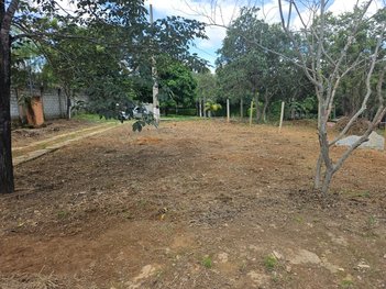 land_lot em Rua Firmino Gonçalves, Palmital - Lagoa Santa - MG