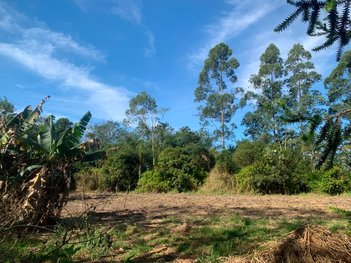 agricultural em Avenida João Marson, Vila Industrial - São José dos Campos - SP