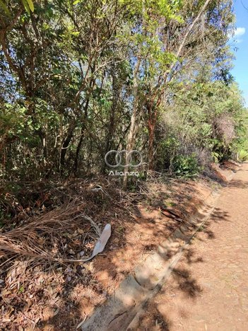 land_lot em Alameda Caraibebe, Casa Branca - Brumadinho - MG