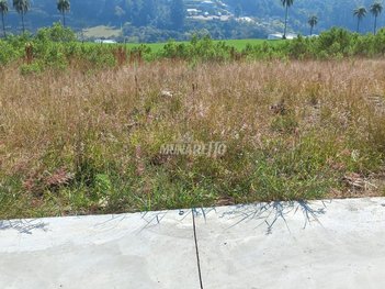 land_lot em Rua Tancredo de Almeida Neves, São Cristóvão - Concórdia - SC