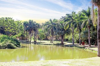 land_lot em Rua RP 32, Residencial Paraíso - Senador Canedo - GO