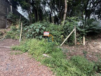 land_lot em Rua Vespertino Ferreira Pimpão, Barreirinha - Curitiba - PR