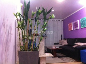 house em Rua Edgar, Vila Leonor - São Paulo - SP