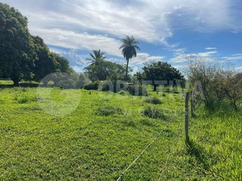 agricultural em Avenida Piquira, Jockey Camping - Uberlândia - MG