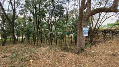 land_lot em Rua Conde Diniz, Condados da Lagoa - Lagoa Santa - MG