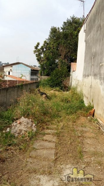 land_lot em Rua Triunfo, Vila Aprazível - Jacareí - SP