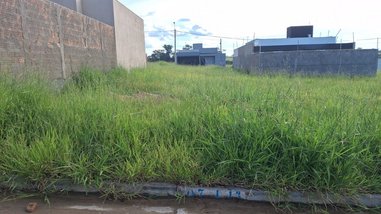 land_lot em Rua Patrícia Sanches Furlan, Setjardim Engenheiro Schmitt - São José do Rio Preto - SP