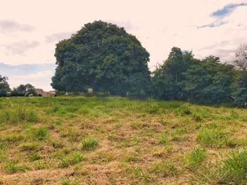 land_lot em Rua Monteiro Lobato, Jardim Caviúna - Rolândia - PR