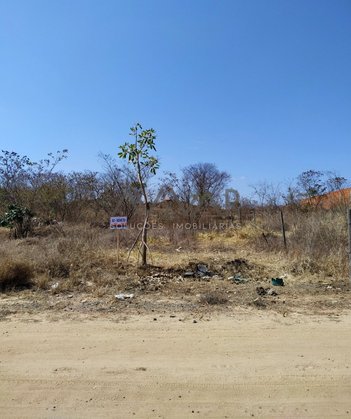 land_lot em Rua das Bromélias, Salinas - Salinas - MG