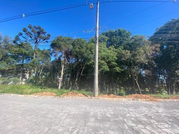 land_lot em Rua Aquilino Ricardo Lenzi, Século XX - Caxias do Sul - RS