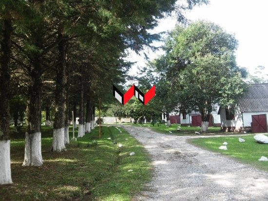 20170518-120819-largejpg