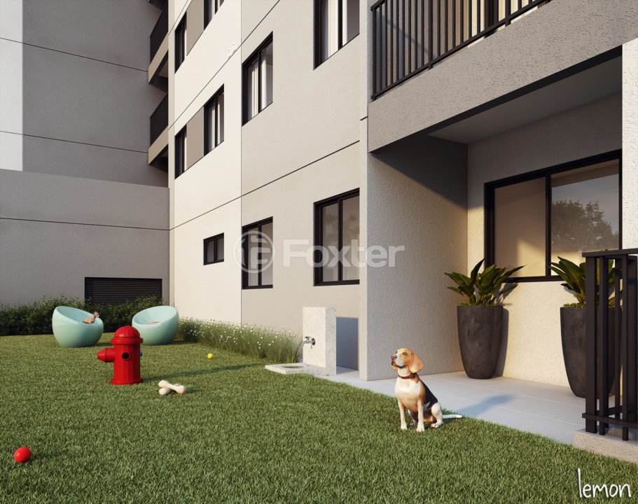 area-pet-friendly-com-beagle-no-gramado