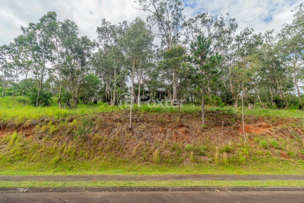 01-TERRENO-SANTA-ISABEL-VIAMAO-501646.jpg