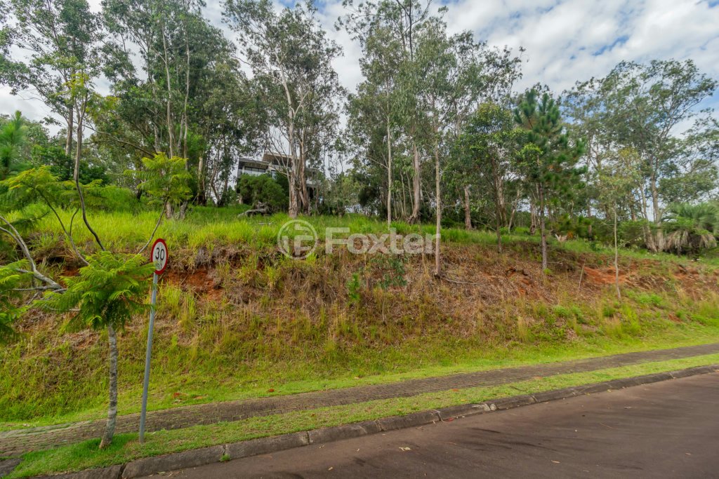 04-TERRENO-SANTA-ISABEL-VIAMAO-501646.jpg