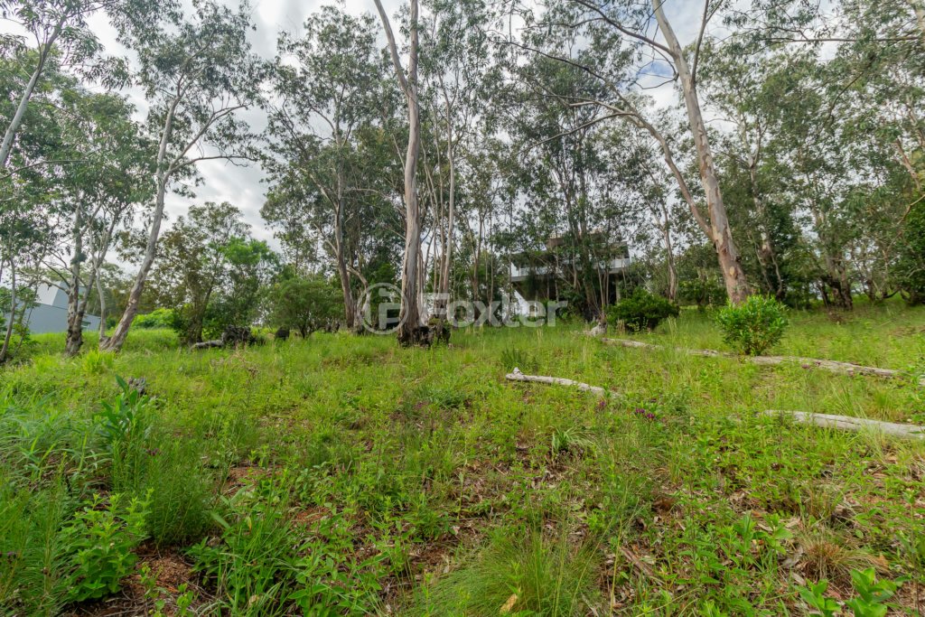 05-TERRENO-SANTA-ISABEL-VIAMAO-501646.jpg