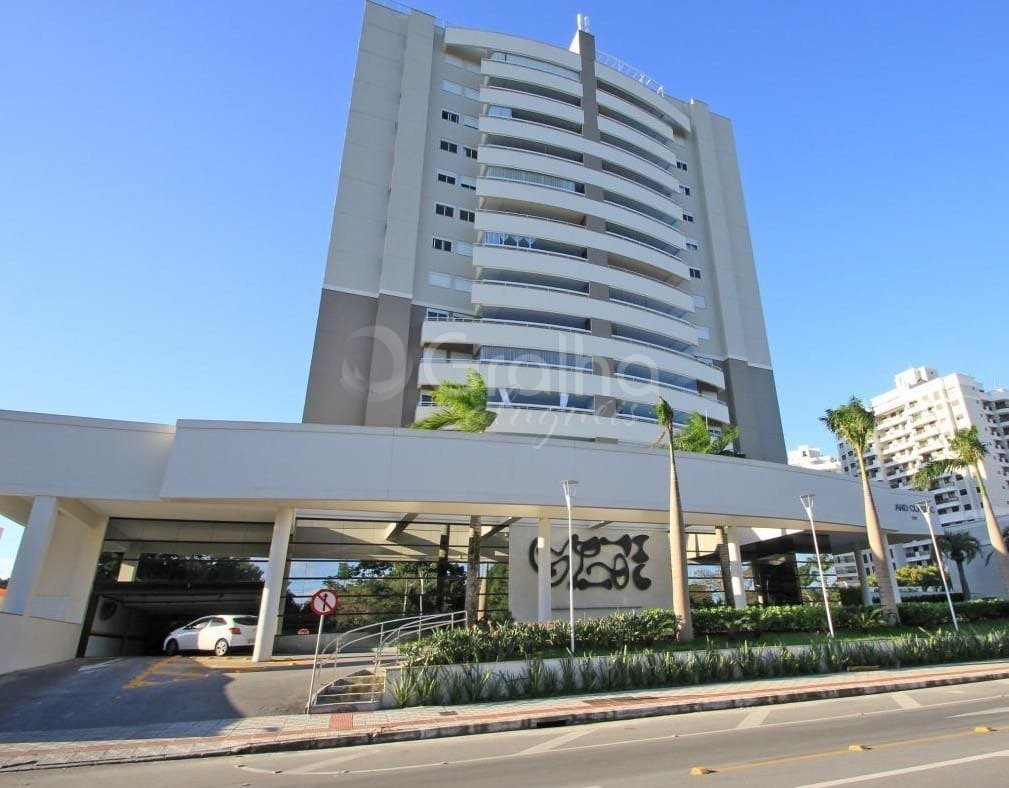 WhatsApp Image 2025-11-13 at 08.55