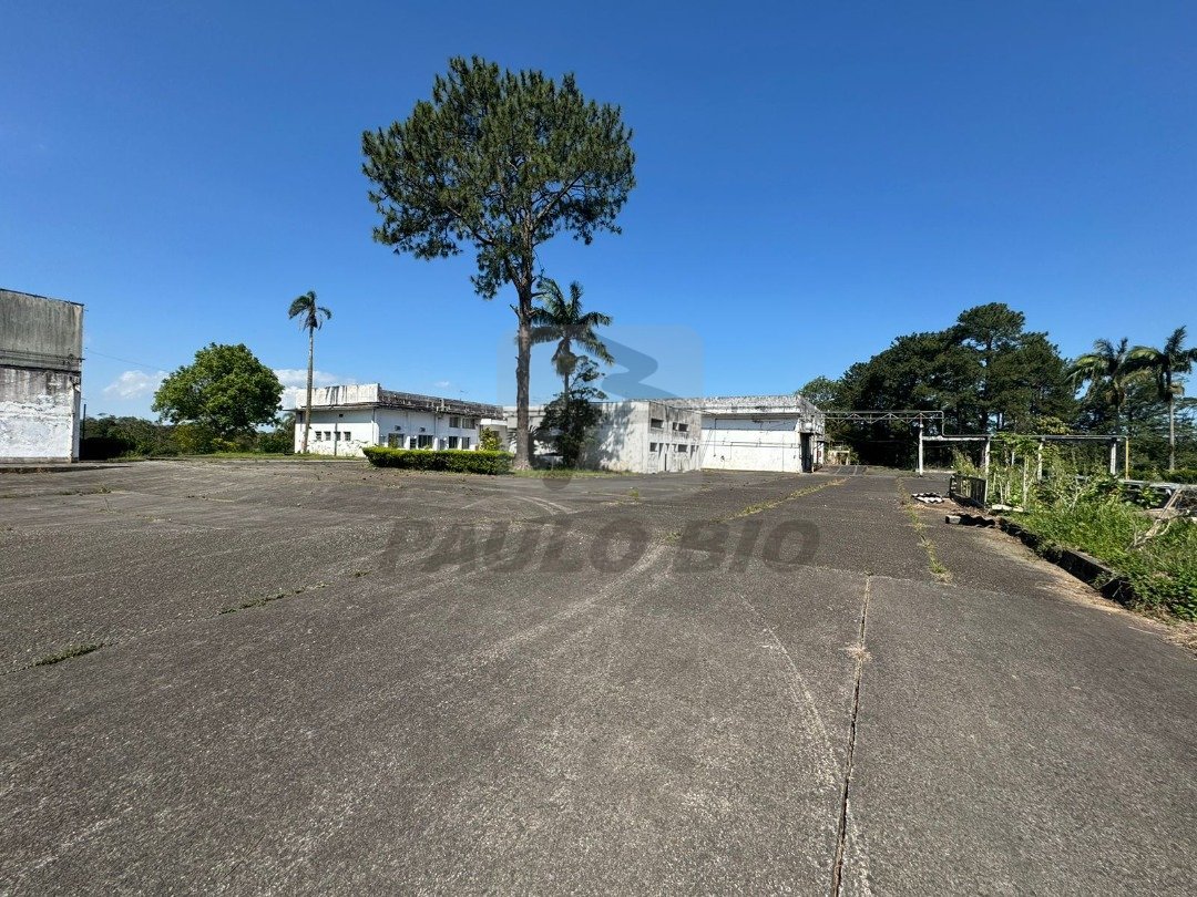 WhatsApp Image 2025-10-27 at 10.20