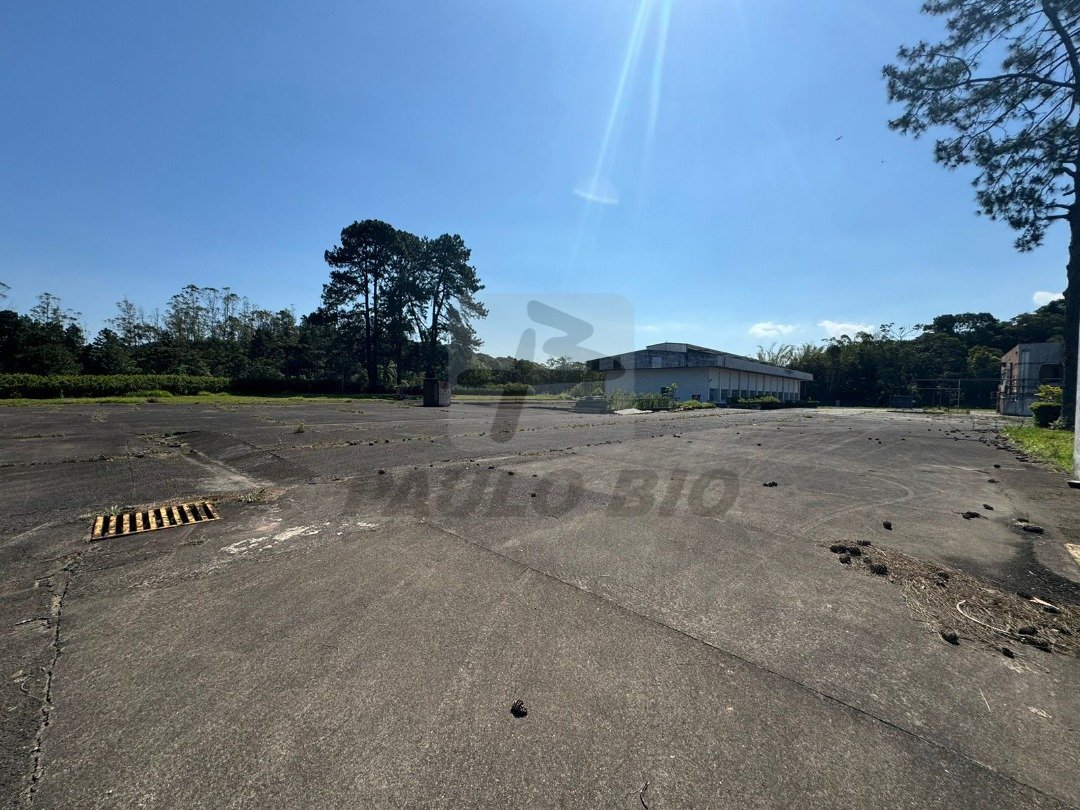 WhatsApp Image 2025-10-27 at 10.20