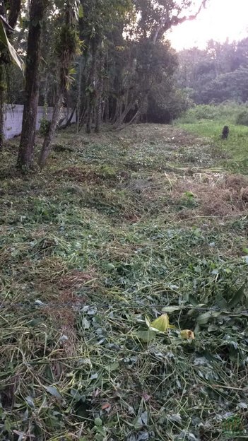 land_lot em São Jorge, Ubatumirim - Ubatuba - SP