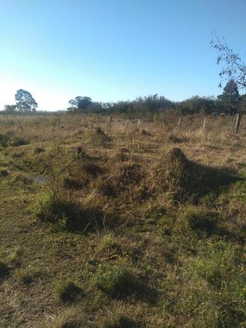 land_lot em Engenheiro Ildefonso Simões Lopes, Três Vendas - Pelotas - RS