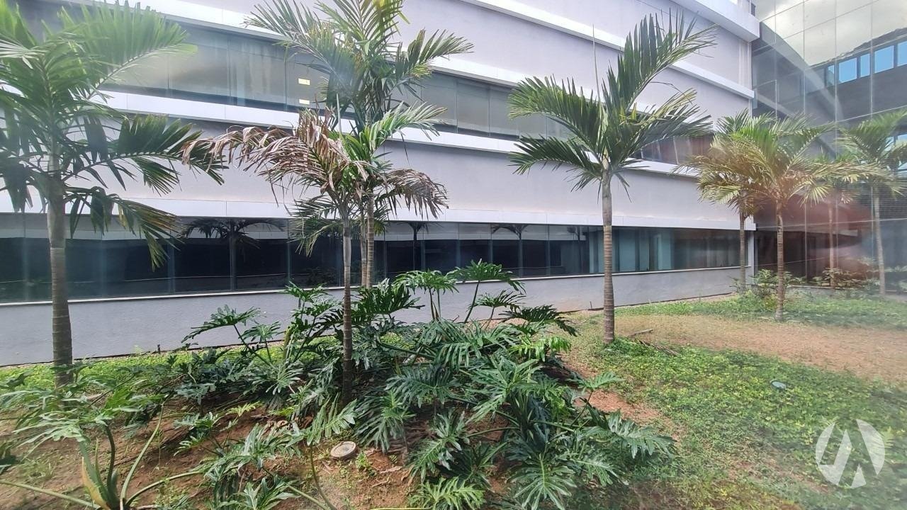 WhatsApp Image 2025-06-26 at 12.37