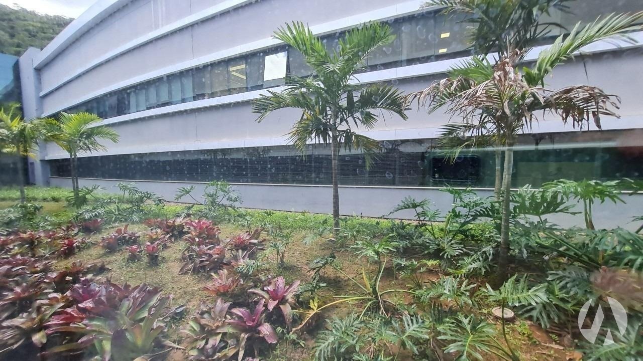 WhatsApp Image 2025-06-26 at 12.37