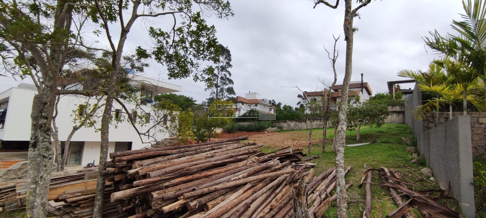 WhatsApp Image 2022-06-02 at 09.56