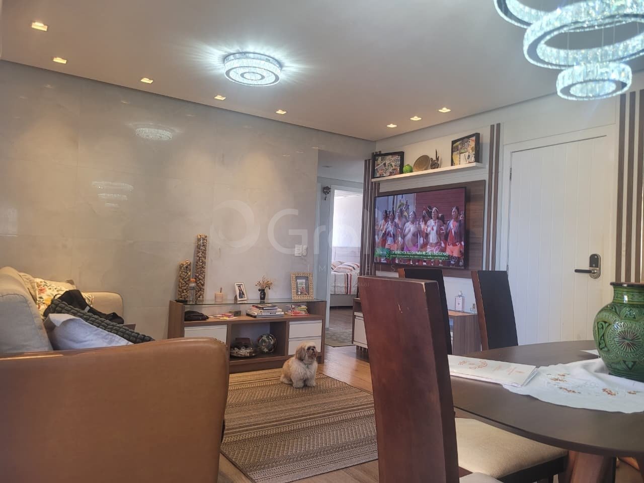 WhatsApp Image 2025-11-11 at 18.11