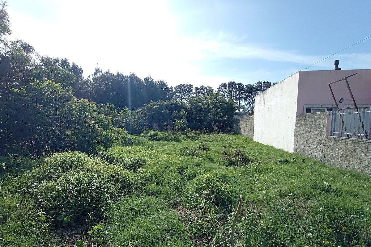Terreno