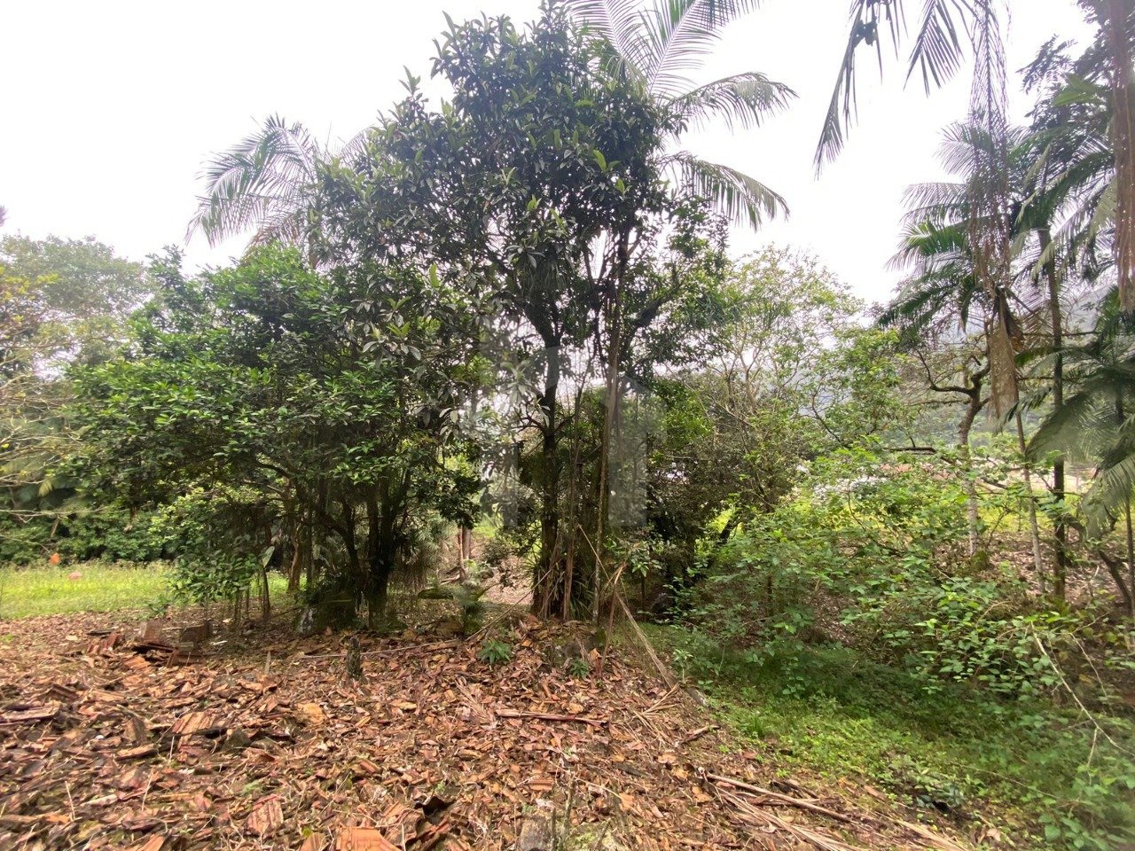 IMG-20241004-WA0031