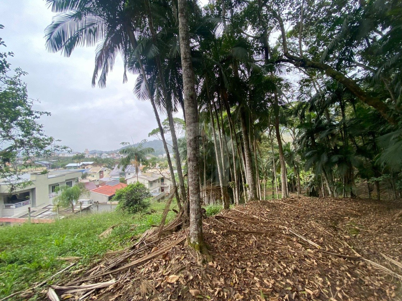 IMG-20241004-WA0020