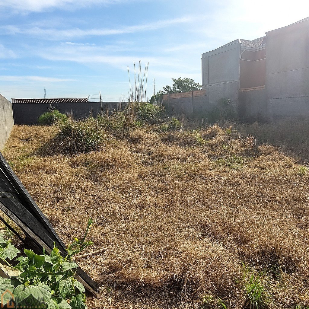 ChatGPT Image 12 de set. de 2025, 14_54_03.png