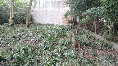 land_lot em Avenida Nova Cantareira, Tucuruvi - São Paulo - SP