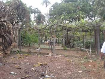 land_lot em Rua Amaro Rodrigues, Horto Florestal - São Paulo - SP