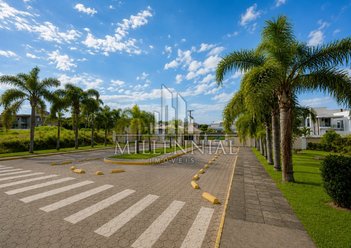 land_lot em Rodovia Virgílio Várzea, Canasvieiras - Florianópolis - SC