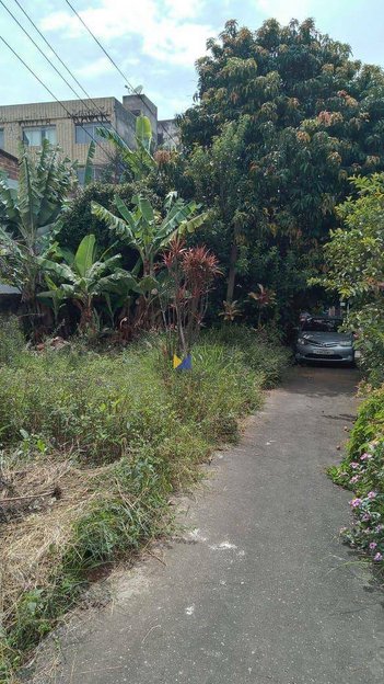 land_lot em Rua Felício Marcondes, Centro - Guarulhos - SP