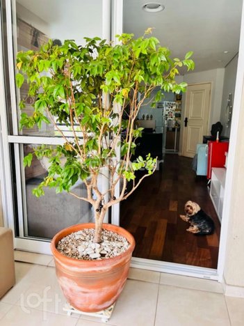 apartment em Rua Domingos de Morais, Vila Mariana - São Paulo - SP